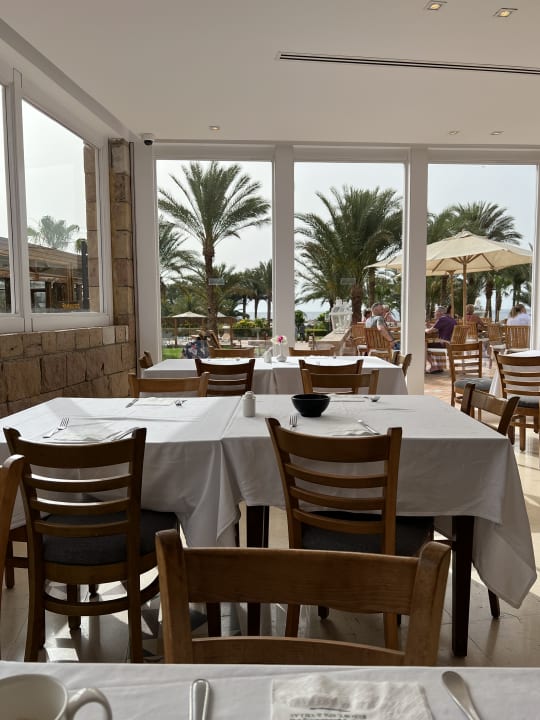 Gastro Fort Arabesque Resort, Spa & Villas