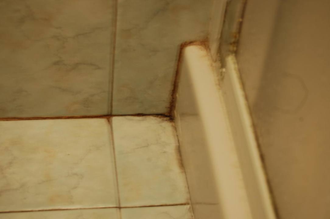 Sauberkeit Hotel La Vedetta