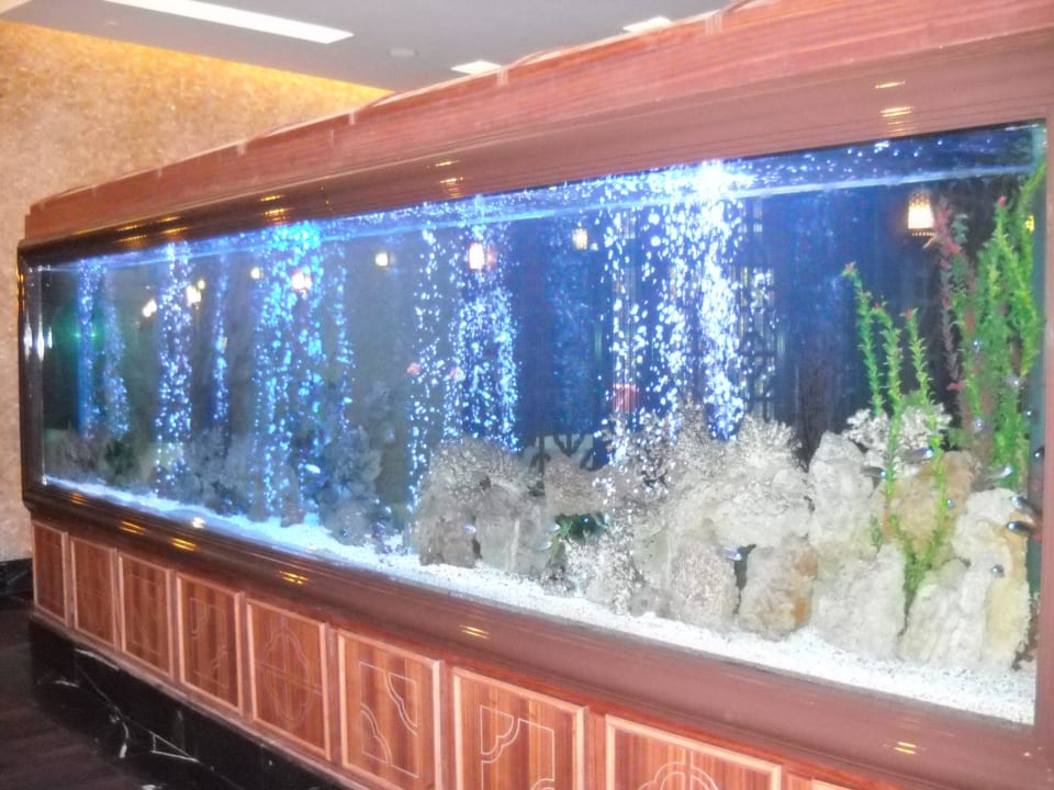 СПА Hotel Delphin Imperial