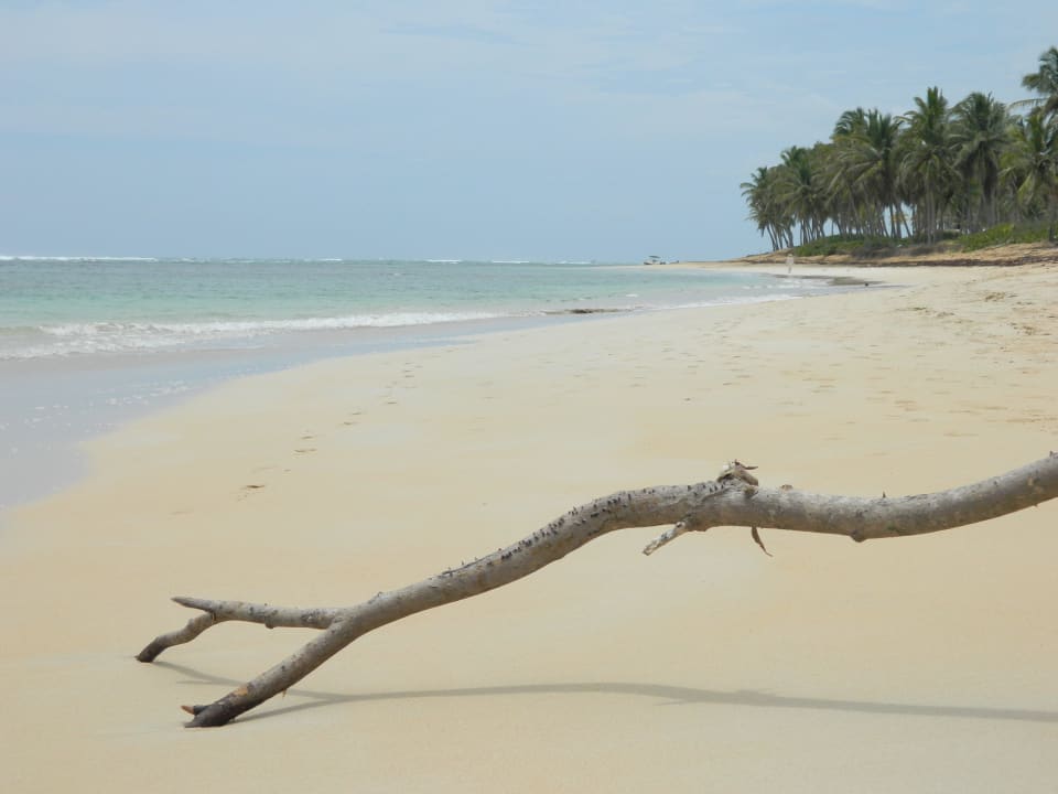 Alleinlage des Hotels Excellence Punta Cana - Adults only