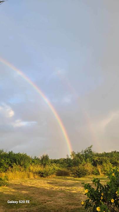 Außenansicht Lagoon Attitude - Adults only