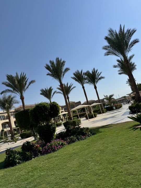 Ausblick JAZ Aquamarine Resort