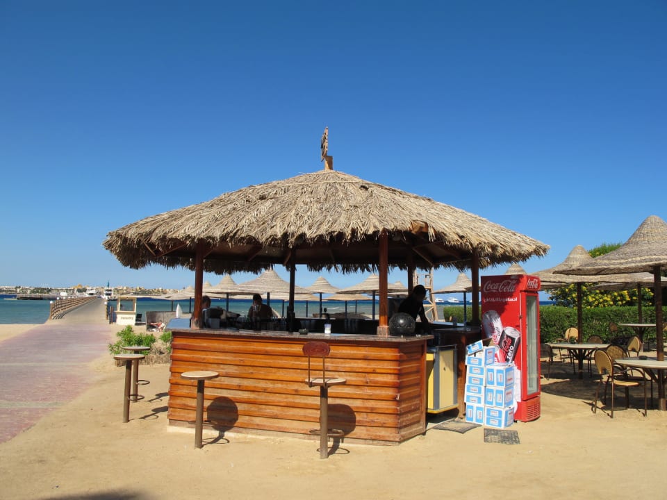 Diver Bar Cleopatra Luxury Resort Makadi Bay