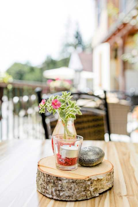 Gartenanlage Hotel Zwergschlösschen