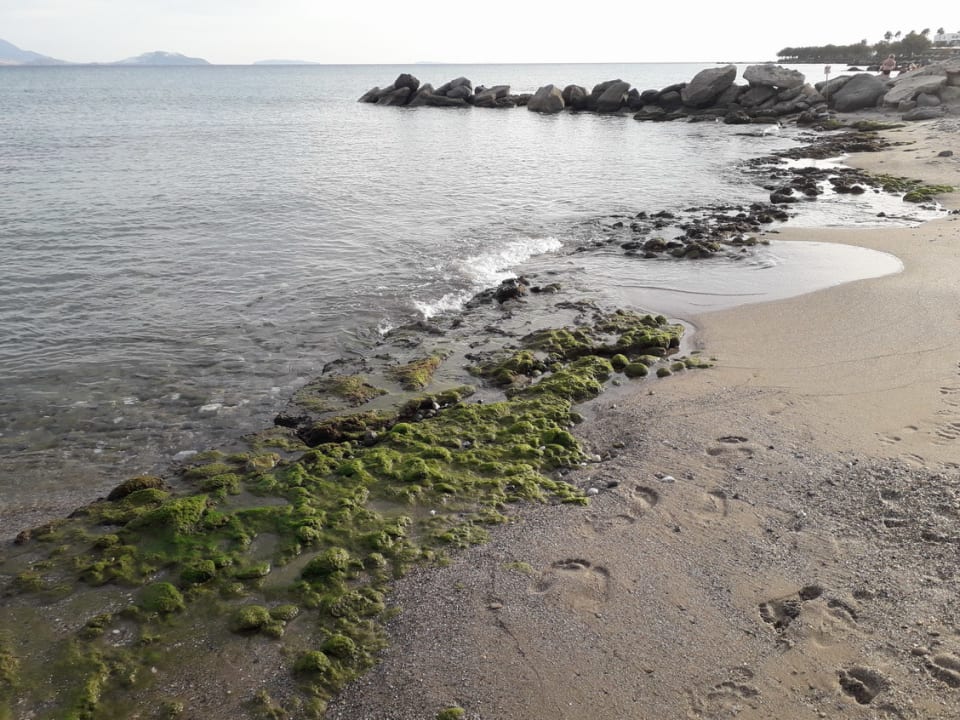 Strand Porto Bello Royal