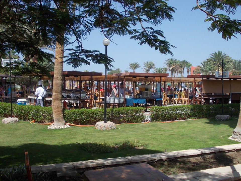 Mittags- & Abendbuffet Arabia Azur Resort