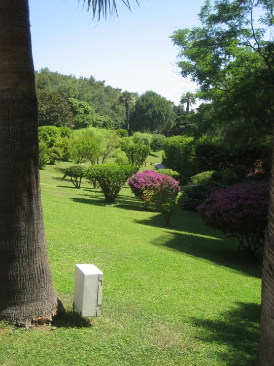 Gartenanlage TUI MAGIC LIFE Sarigerme