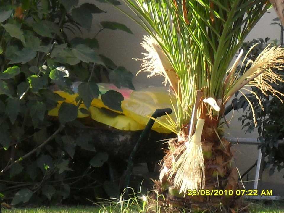 Dreck Grand Seker Hotel