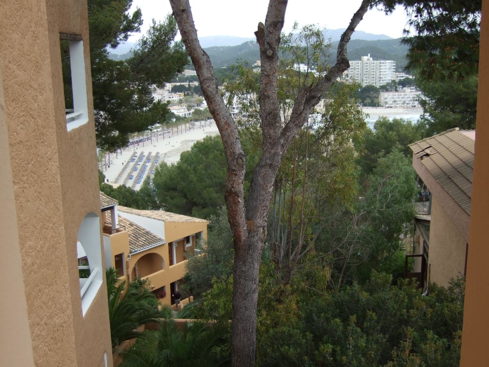 Strandblick, rechts Nachbarhaus Hotel Aldea Cala Fornells 2