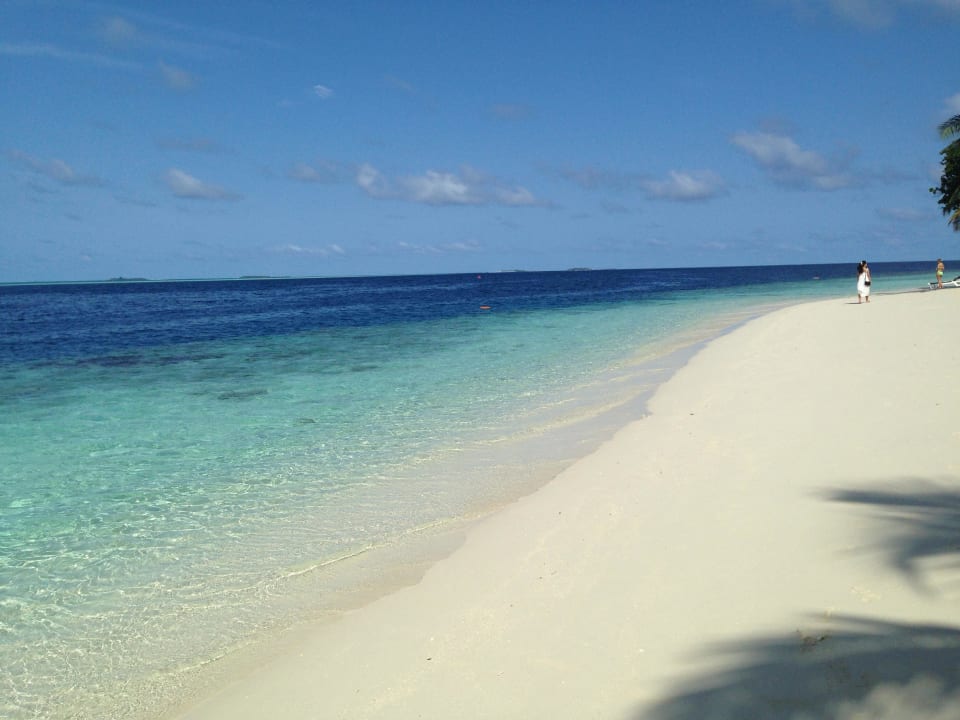 Wundervoll  Vilamendhoo Island Resort & Spa