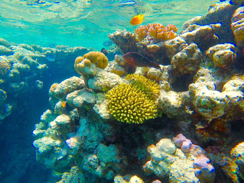 Sport & Freizeit Fantazia Resort Marsa Alam