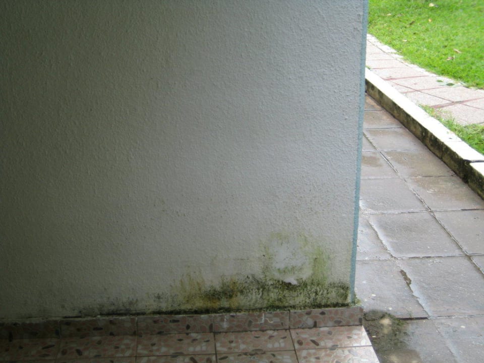 Zimmer F 12 Hotel Senegambia Beach