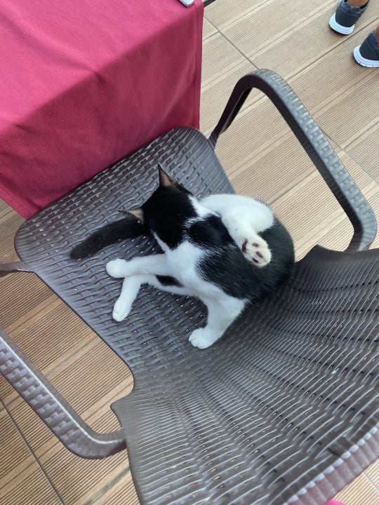 Ausblick Side Aquamarin Resort & Spa