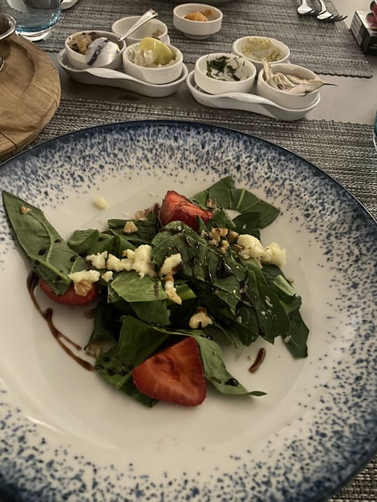 Gastro PALOMA Perissia