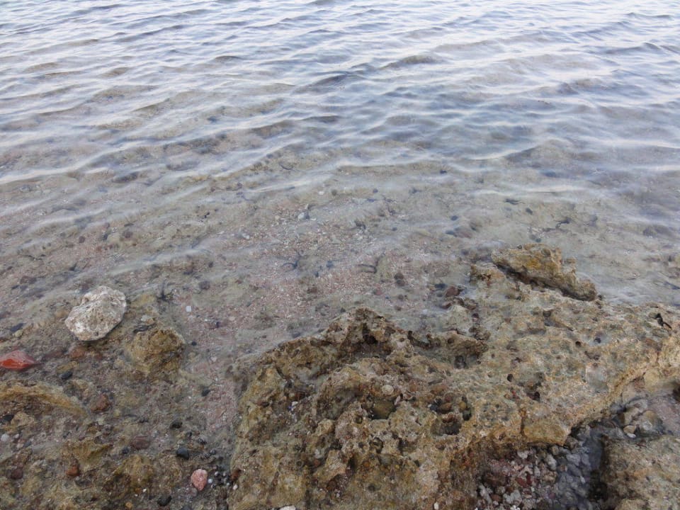 Wejście do morza Parrotel Beach Resort