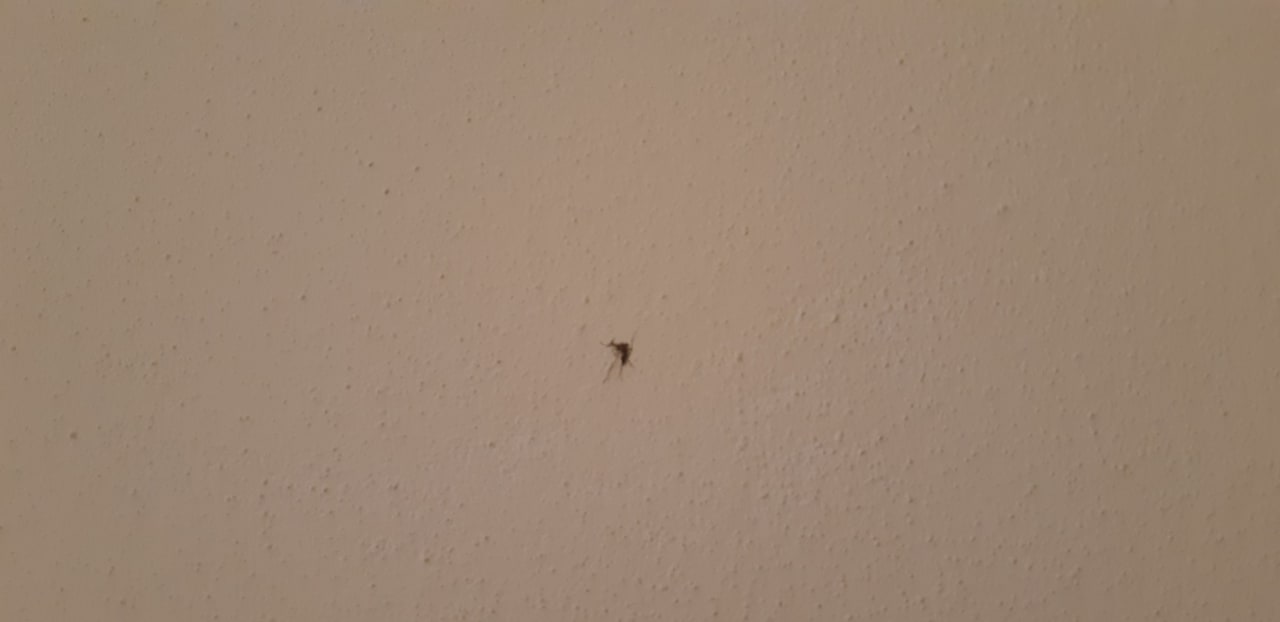 Zimmer Hotel Borgo Degli Olivi