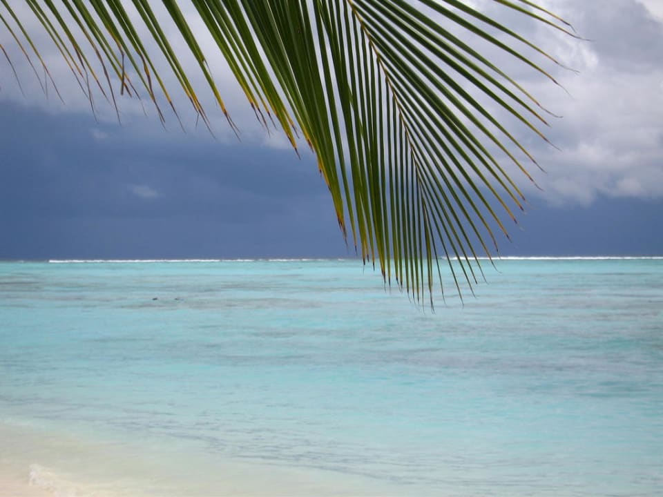 Von der Liege aus Meeru Maldives Resort Island