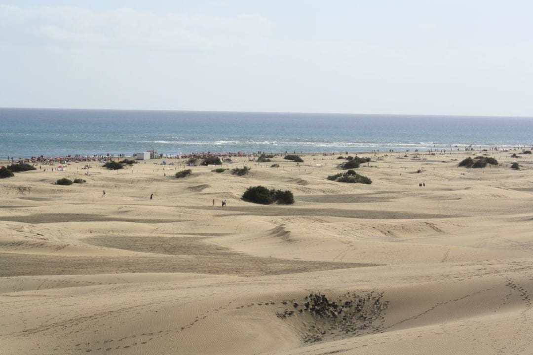 Hotel El Palmar Hotel El Palmar