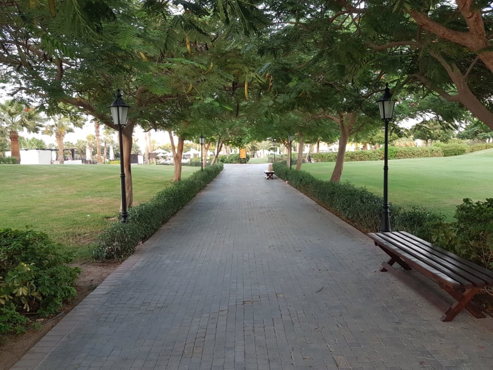 Gartenanlage Steigenberger ALDAU Beach Hotel