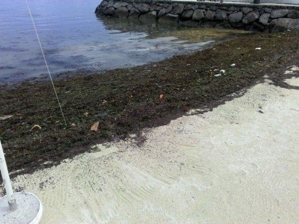 "Idyllisch Strand" = Klo... Laguna Beach Hotel & Spa