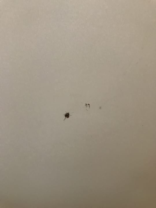 Zimmer Saphir Hotel & Villas