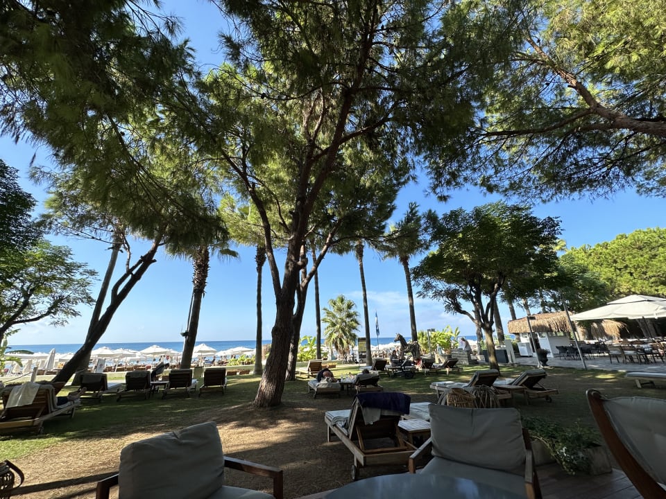 Sonstiges Barut Hemera