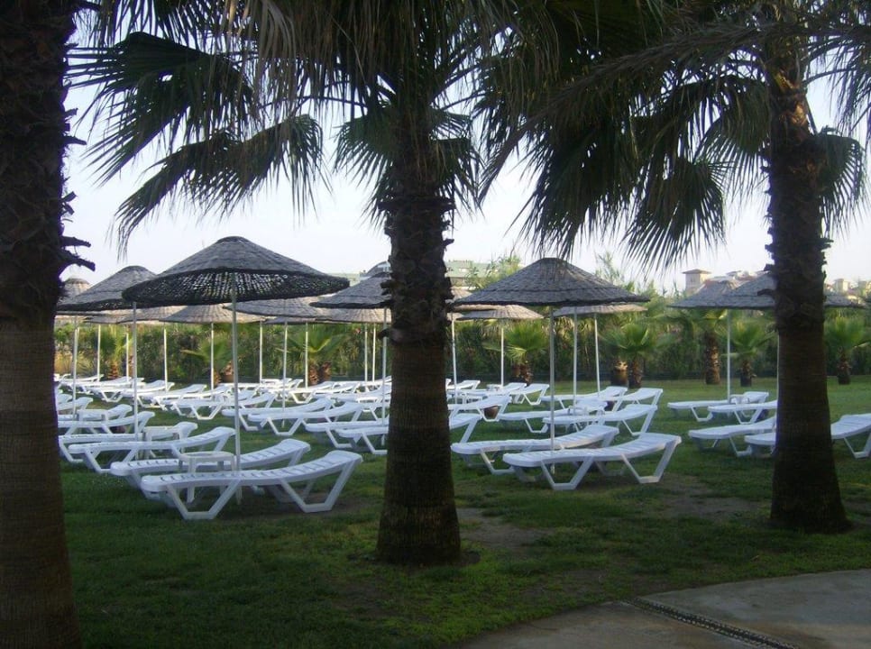 Liegewiese Miramare Queen Hotel