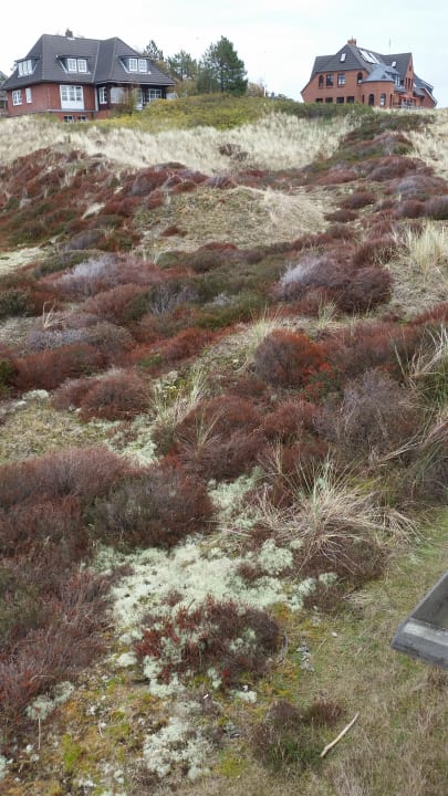 Sonstiges Hotel Pidder Lyng