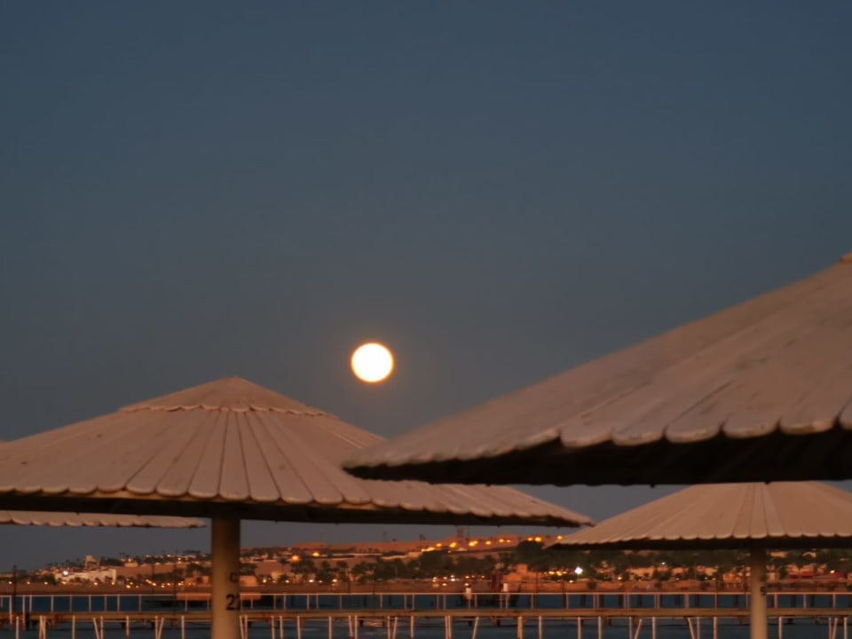 Ausblick Pharaoh Azur Resort