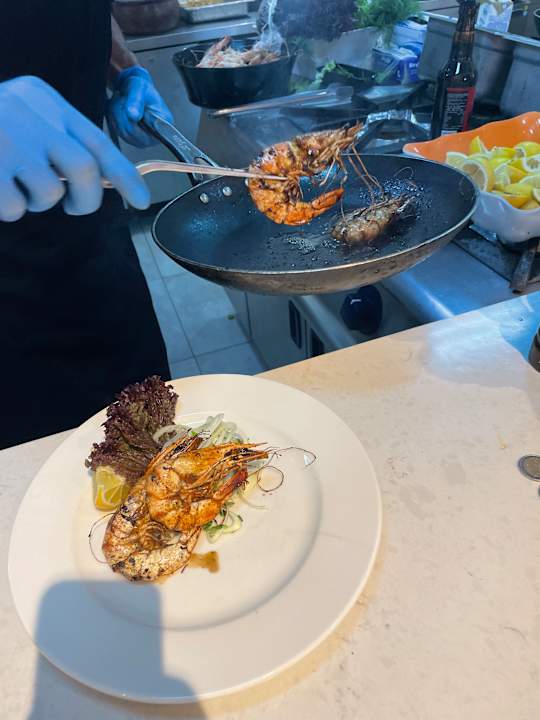 Gastro Seashell Vega