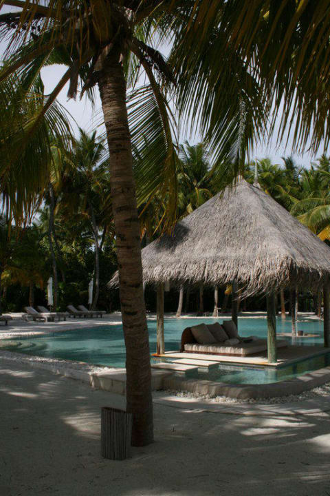 Pool Gili Lankanfushi Resort