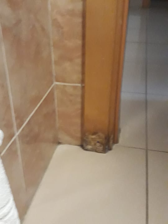 Zimmer Grand Muthu Golf Plaza Hotel & Spa