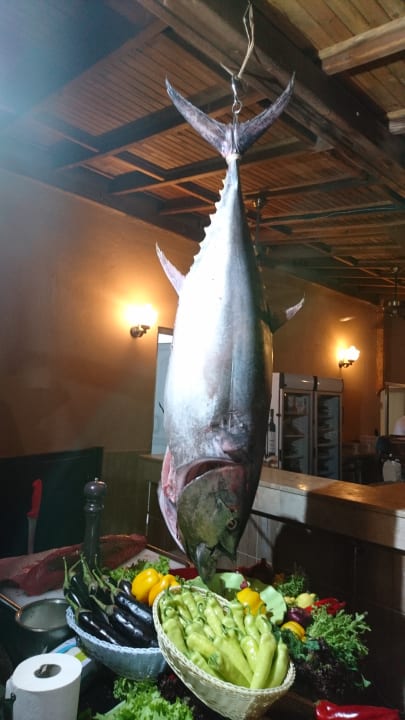 Gastro Turquoise Hotel