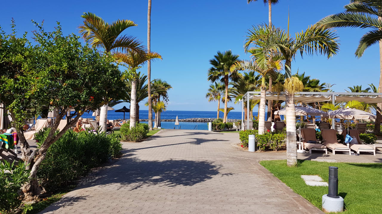 Pool Hotel Riu Palace Tenerife