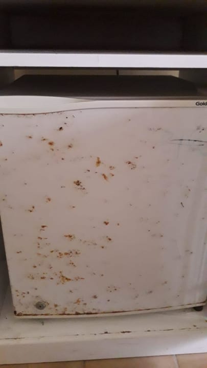 Zimmer Hotel Los Delfines Horizontes