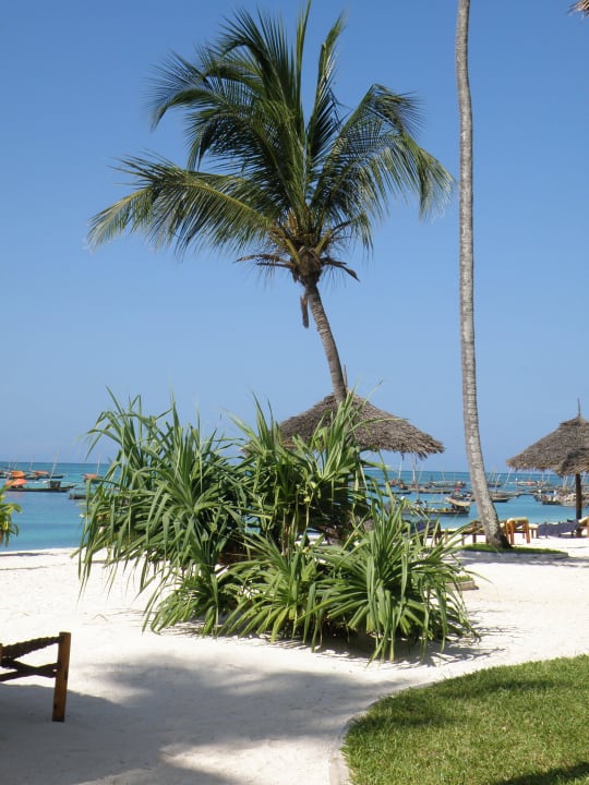 Strand am Restaurant Turaco Nungwi Resort, a Tribute Portfolio Hotel