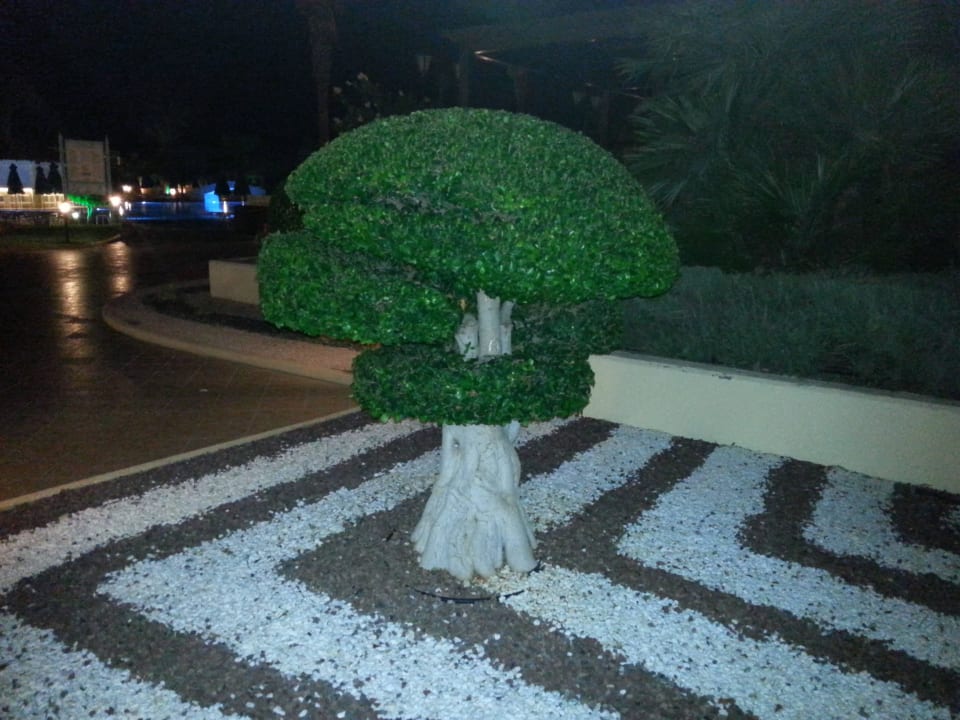 Gartenfeen Lindos Princess Beach Resort & Spa