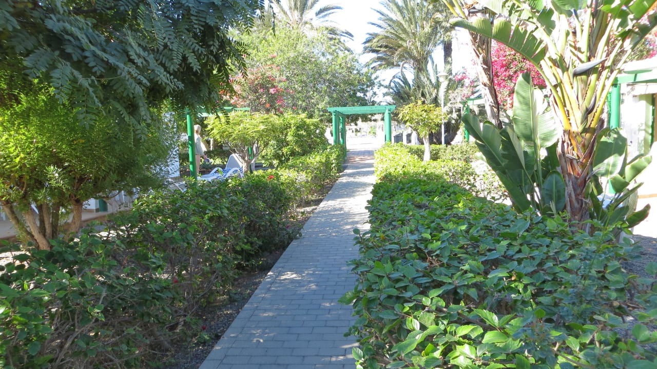 Anlage Bungalows Cordial Sandy Golf