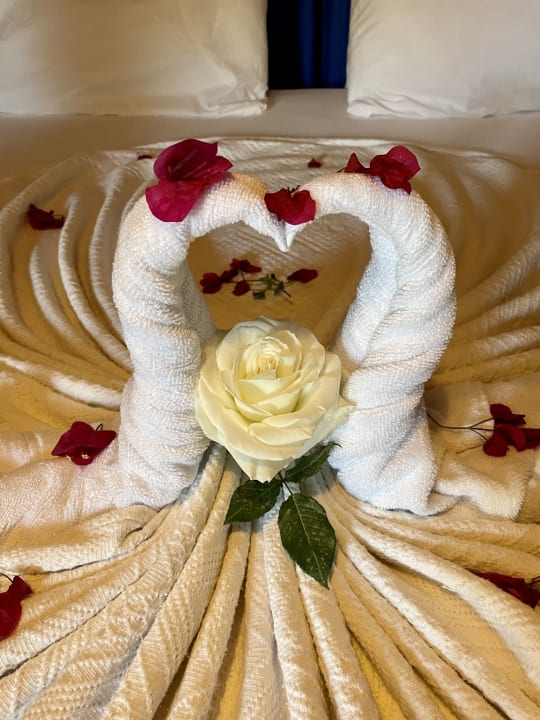 Zimmer Hotel Aquarius