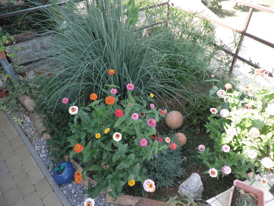 Villa More Garten Villa More Lovran / Opatija