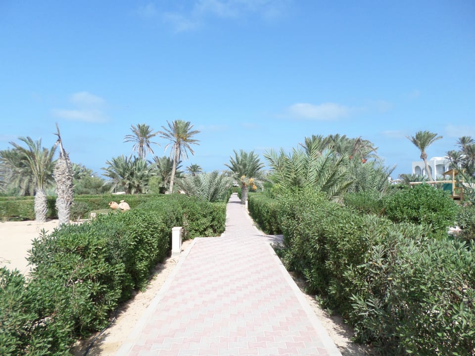 Schön angelegt Hotel Seabel Rym Beach Djerba