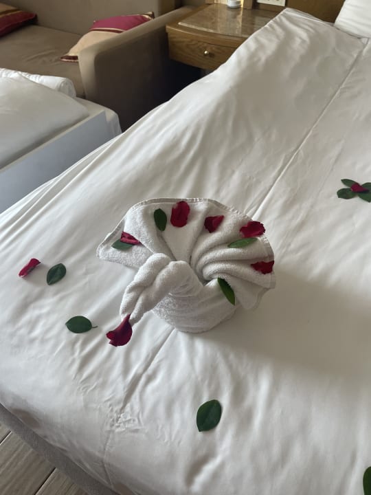 Zimmer Granada Luxury Okurcalar