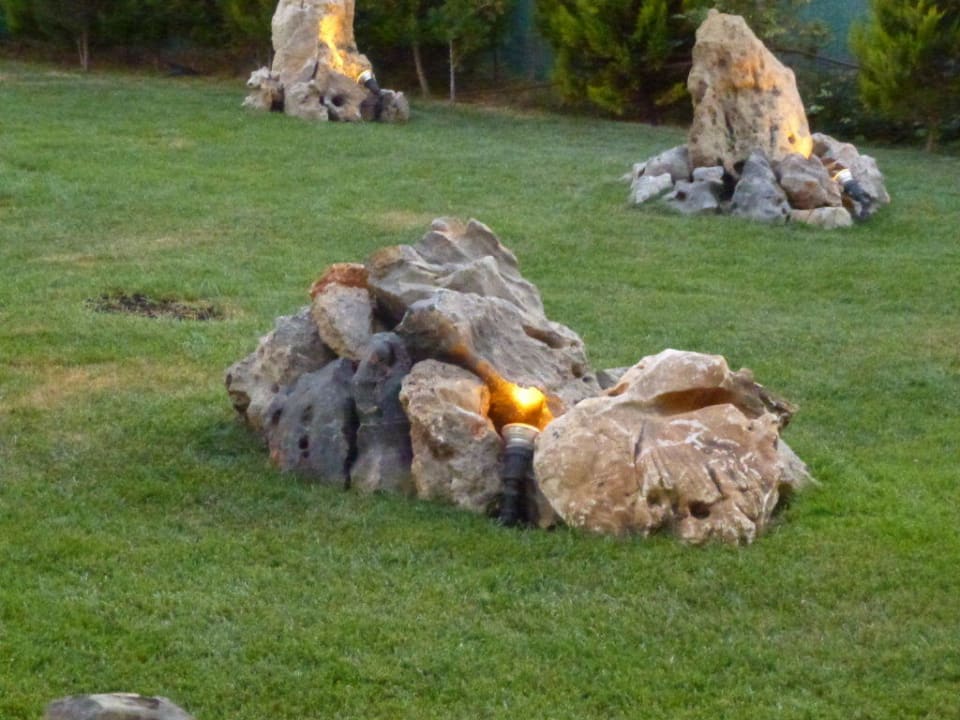 Gartenanlage Cactus Royal