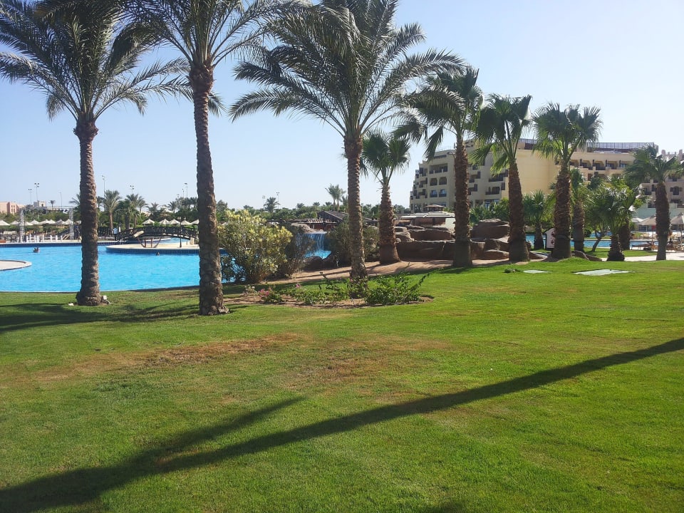 Garten mit Pool Steigenberger ALDAU Beach Hotel