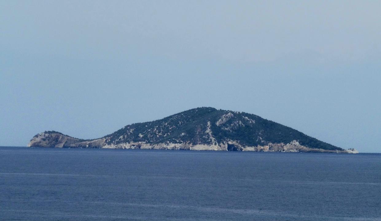 Ausblick Poseidon Hotel Sea Resort