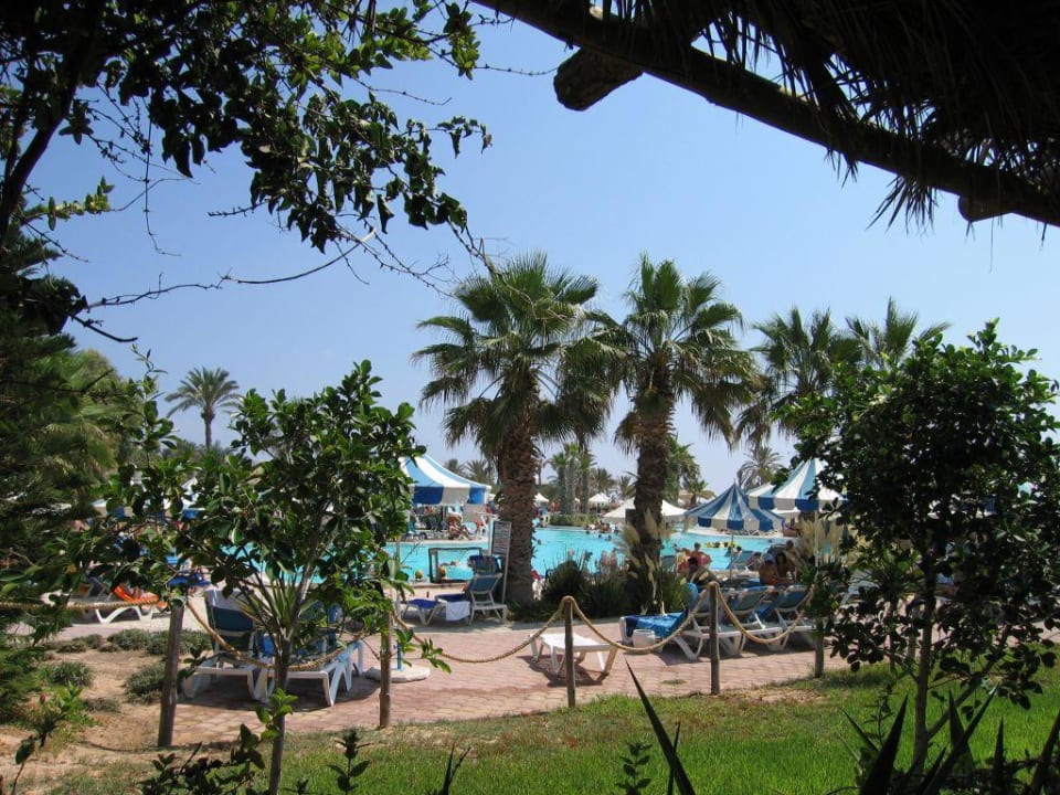 Blick auf den Pool Royal Karthago Djerba