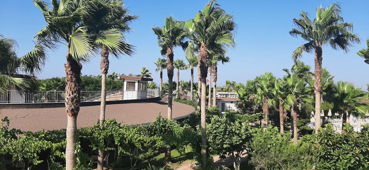 Ausblick Seaden Sea World Resort & Spa