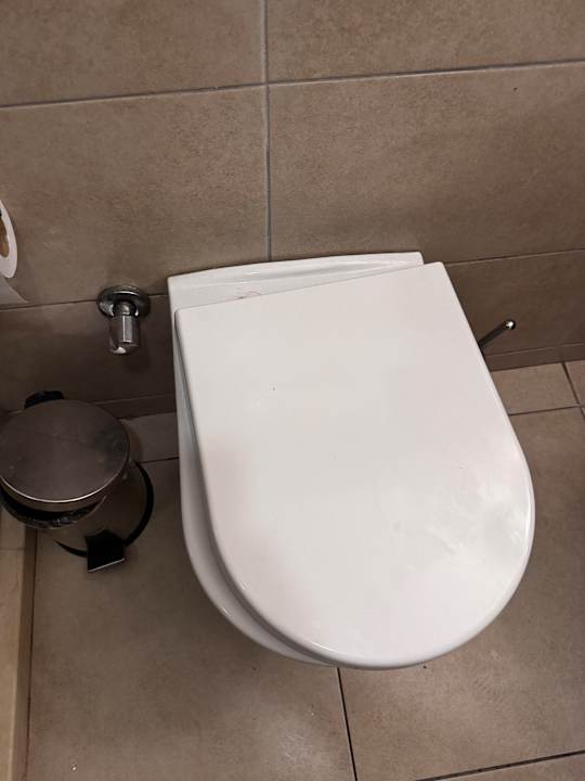 Zimmer Well Palace Side