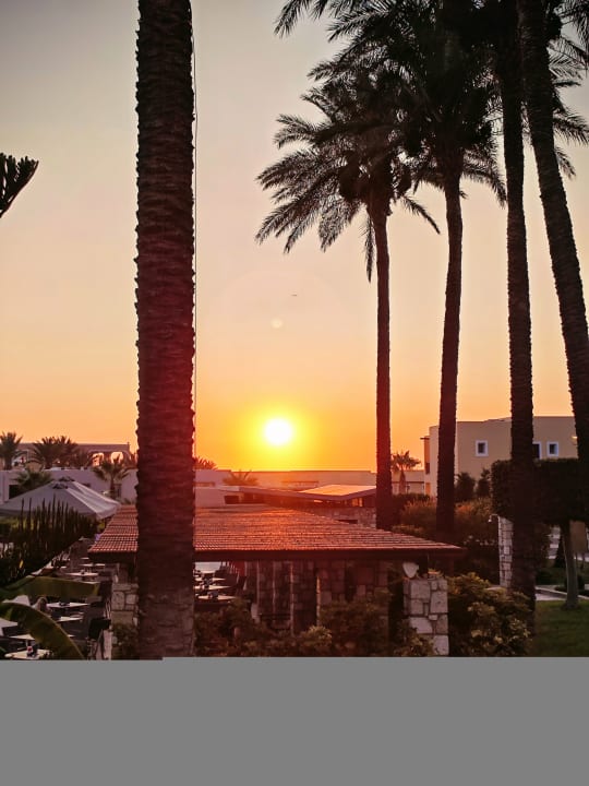 Gartenanlage Hotel Horizon Beach Resort