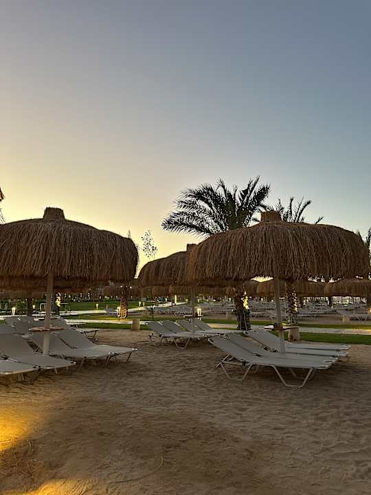 Strand JAZ Elite Asteria